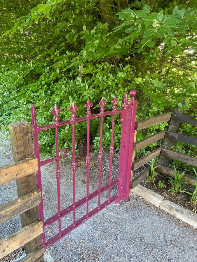 Harrys Place Mullingar Esterno foto
